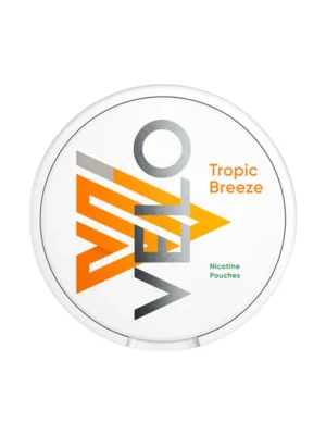 222797191.webp