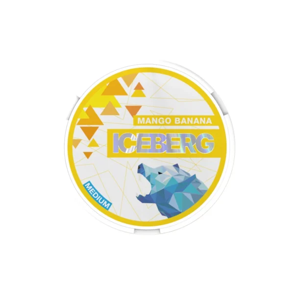 20mg Iceberg Medium Nicotine Pouches - 20 Pouches - Image 5